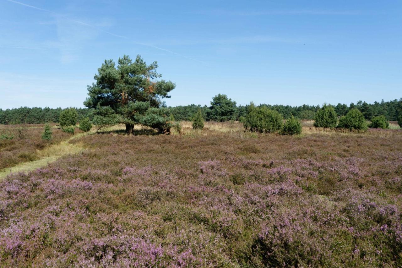 Camping-Aller-Leine-Tal Engehausen Exteriér fotografie